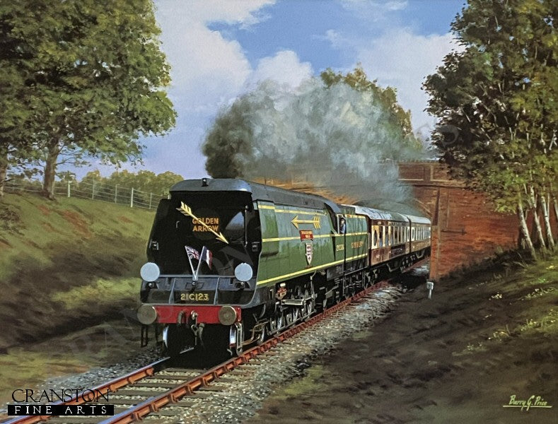 Blackmoor Vale - Golden Arrow by Barry Price