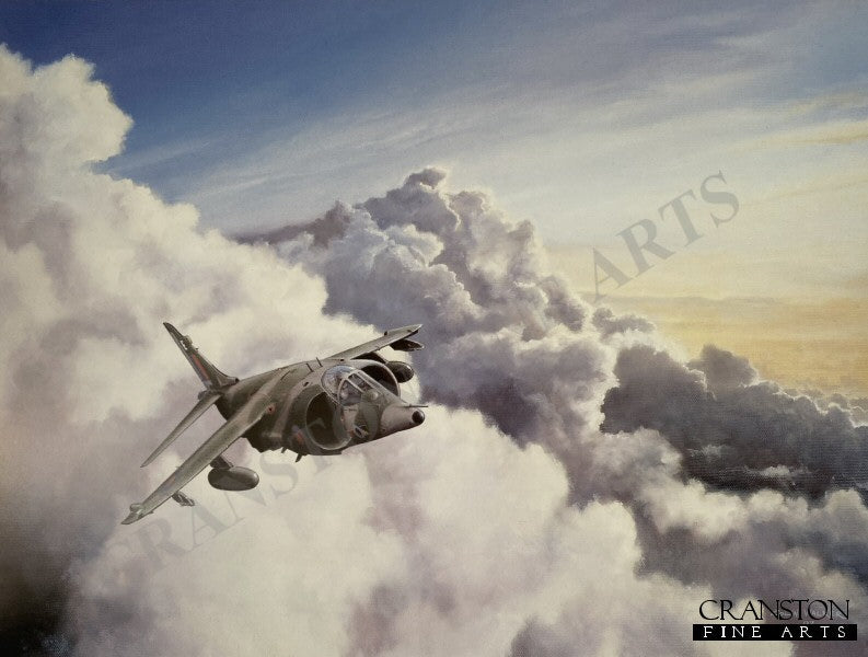 Harrier by Colin Walker.