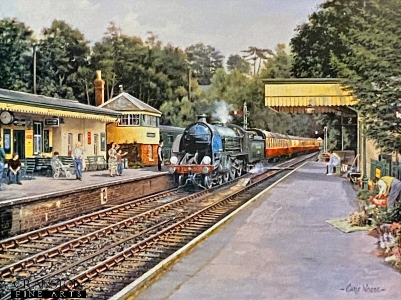 Sunny Day at Alresford by Chris Woods