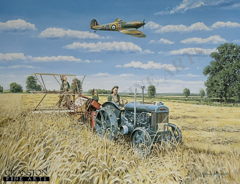 Harvesting Victory by Trevor Mitchell.