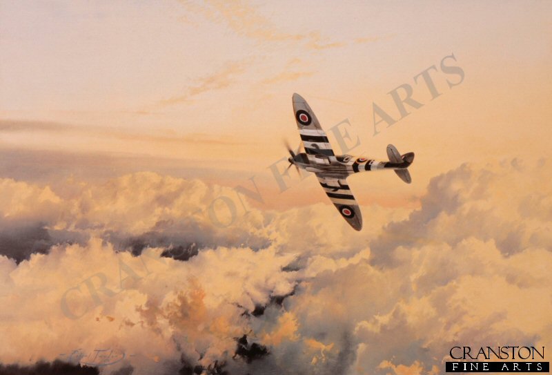 Wings of Glory by Robert Taylor.