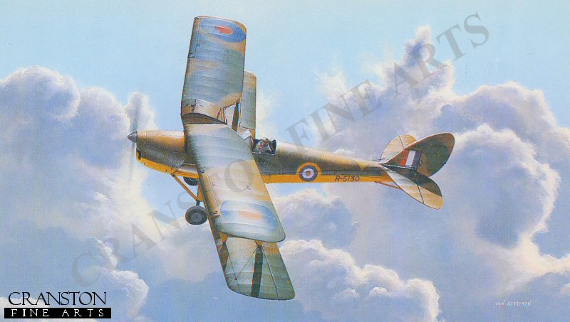 First Wings by Ivan Berryman.