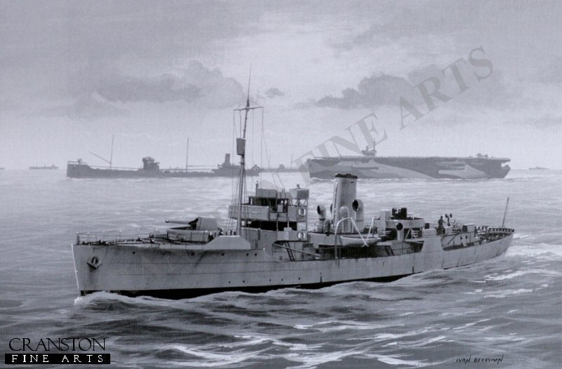 HMS Celandine by Ivan Berryman. (AP)