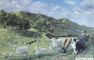 Cheviot Shepherd by Michael Kitchen Hurle