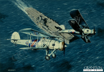 Sea Wings by Ivan Berryman. (AP)
