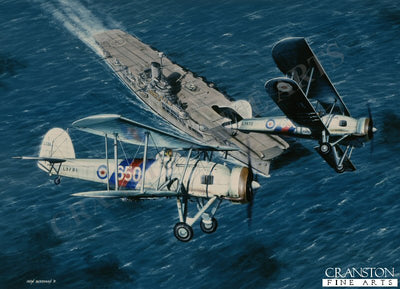 Sea Wings by Ivan Berryman. (PC)
