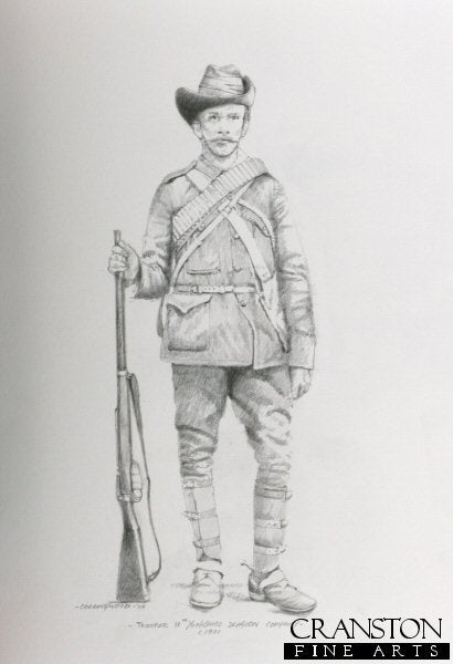Trooper, 11th Yorkshire Dragoon Company c.1901 by Chris Collingwood. (P)
