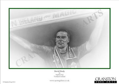 Northern Ireland - David Healy by Stephen Doig.