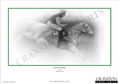 Desert Orchid by Stephen Doig.