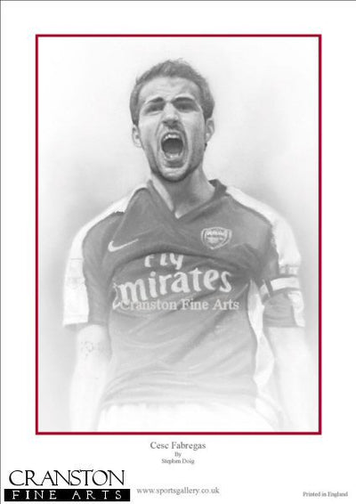 Cesc Fabregas - Arsenal by Stephen Doig.