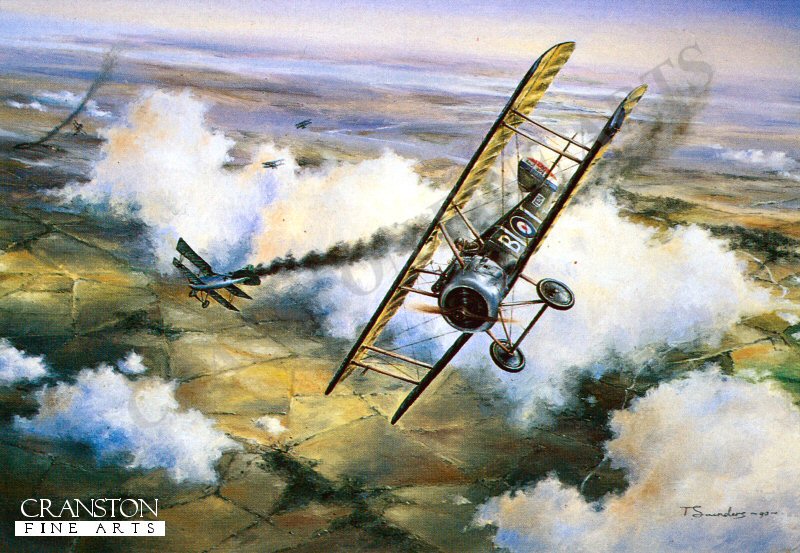 The Sky Warriors by Anthony Saunders.