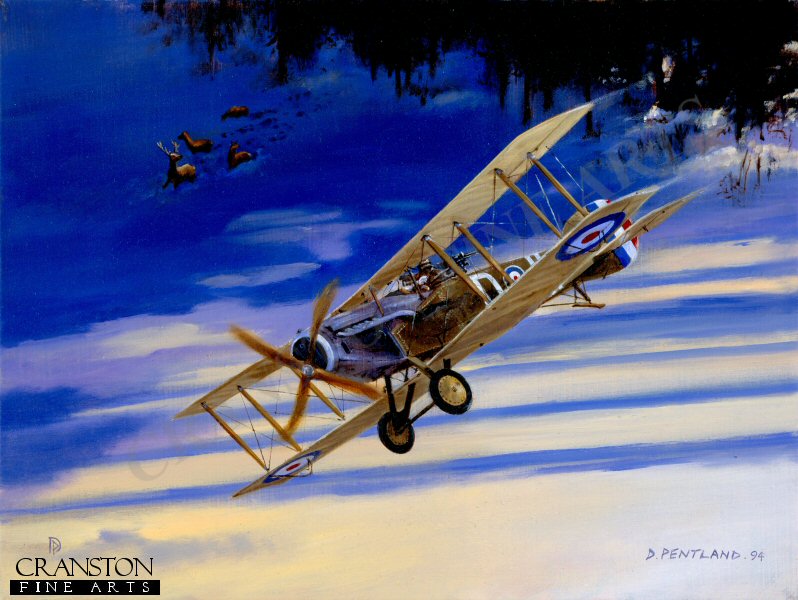 Christmas Hunt - Bristol Fighter F2B by David Pentland. (GS)