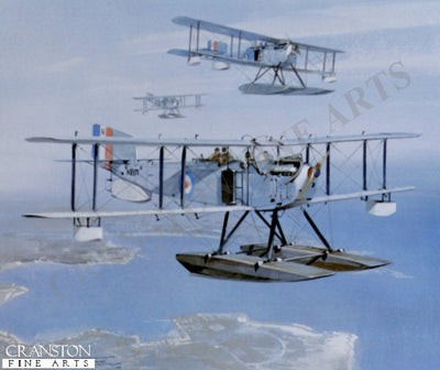 Fairey IIID by Michael Turner.