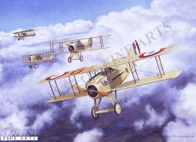 Mustering of Storks, Bonnemaison, France, 4th July 1917 by David Pentland. (PC)