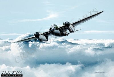 A De Havilland Beauty by Ivan Berryman. (AP)