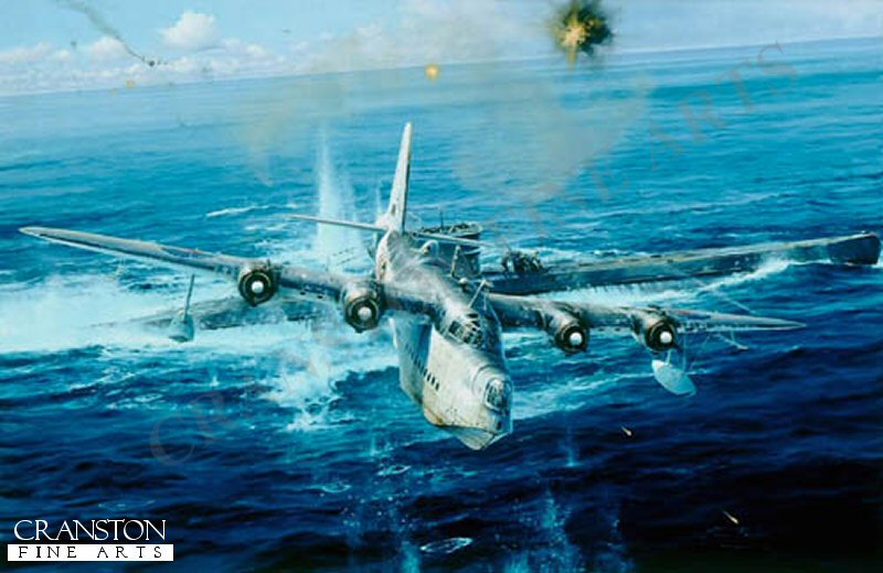 Caught on the Surface by Robert Taylor. (GS)
