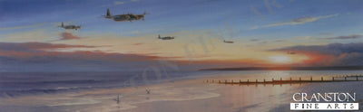 Mosquito Coast by Stephen Brown.