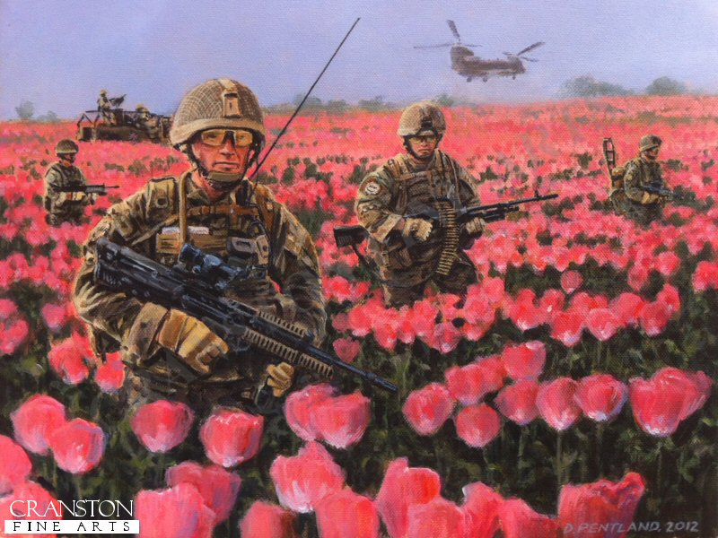 Poppy Fields by David Pentland. (AP)