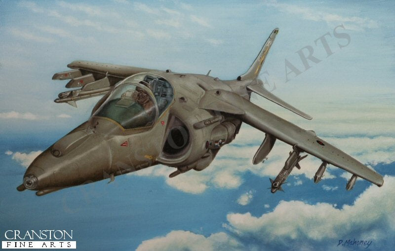 Harrier GR7 of No.20(R) Squadron by D Mahoney.