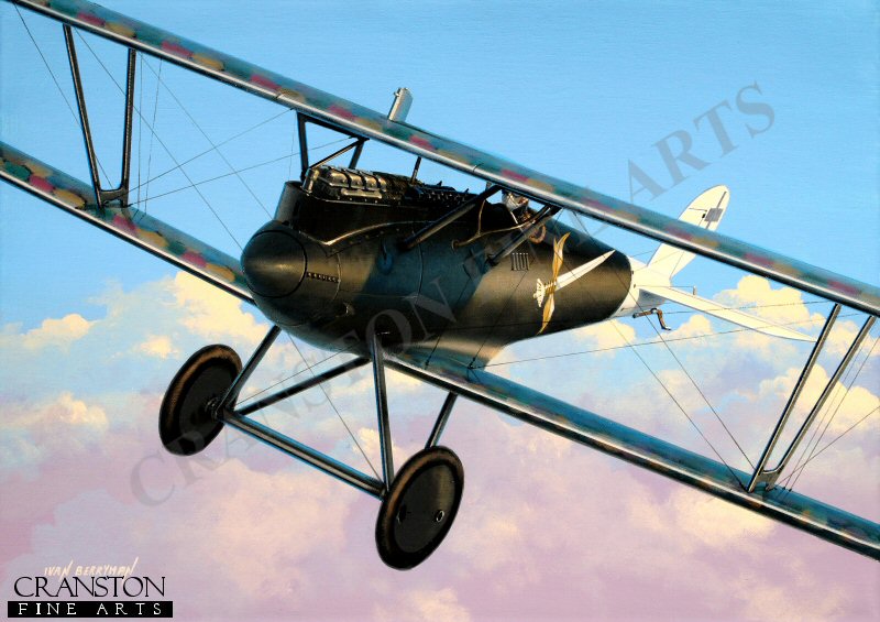 Tribute to Uffz. Werner Hertel, Pfalz D.III by Ivan Berryman. (GS)