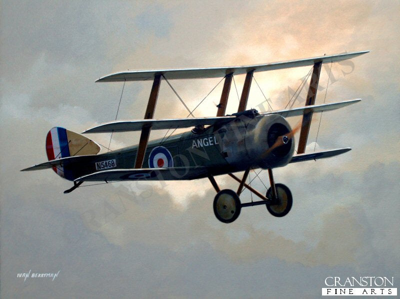 Tribute to 8 Naval Squadron by Ivan Berryman. (AP)