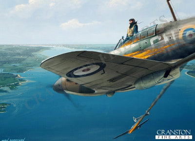 Tribute to James Nicholson VC by Ivan Berryman. (PC)