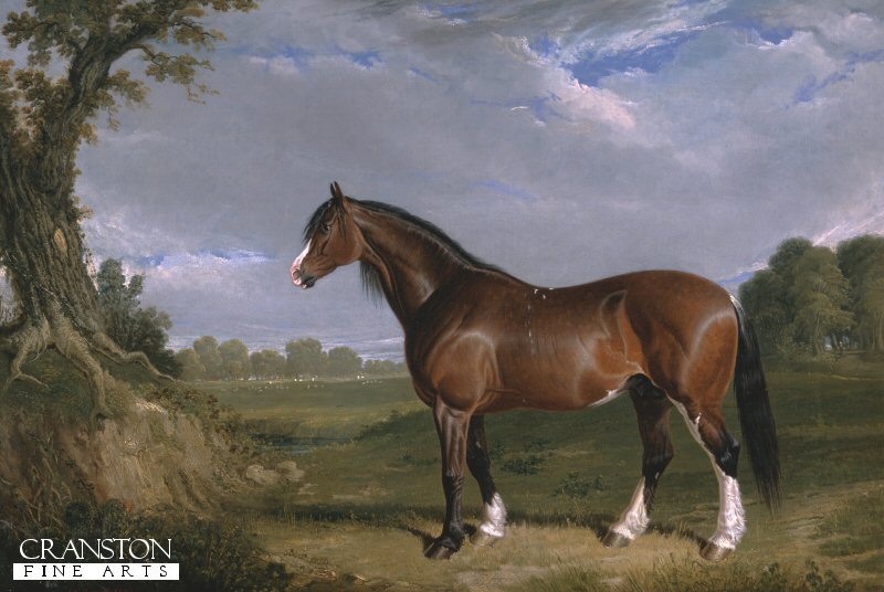 A Clydesdale Stallion by John Frederick Herring SNR
