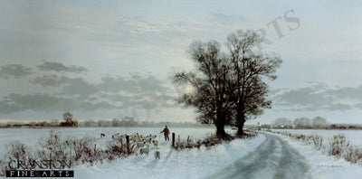 Which Way Now? by Gerald Coulson.
