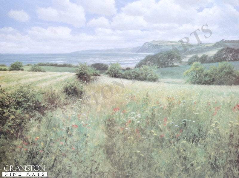 I See the Sea by David Dipnall.