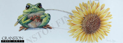 Frog Flora by Warwick Higgs.