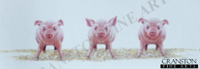Grown Ups by Warwick Higgs.