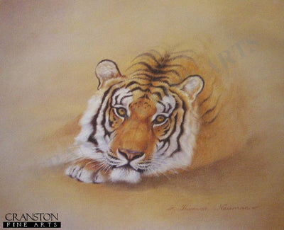 Tiger by Thomas Newman.