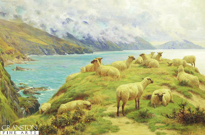 Sheep Reposing, Dalby Bay, Isle of Man by Basil Bradley 1842 to 1904. (GS)