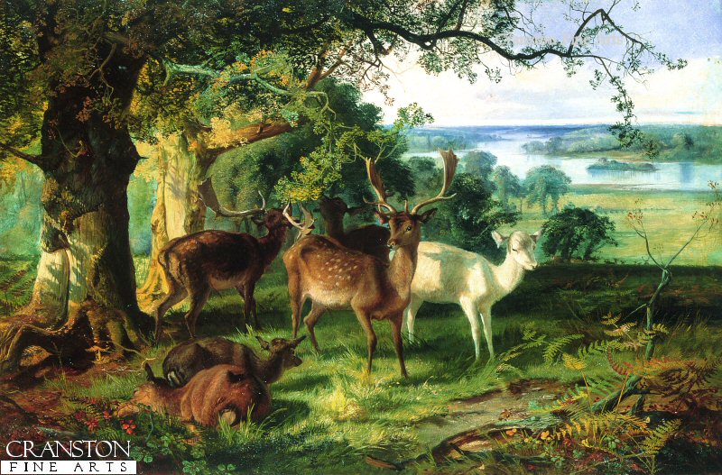 Deer in the Shade by Joseph Denovan Adam (GS)