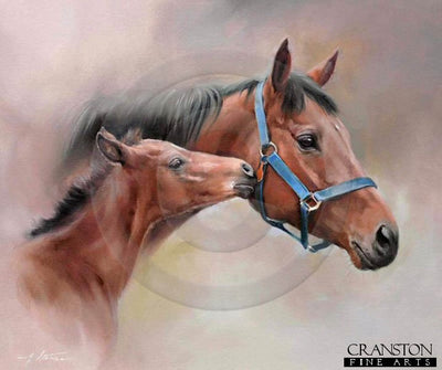 The Blue Headcollar by Jacqueline Stanhope.