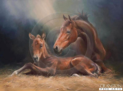 Novus Advena by Jacqueline Stanhope.