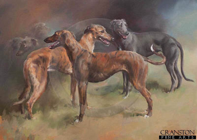 Lurchers by Jacqueline Stanhope.