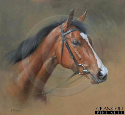 Minding by Jacqueline Stanhope.