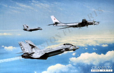 The Bear and the Tomcats by Keith Aspinall.