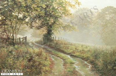 Puddles by David Dipnall.