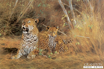 Leopard and Cub by Kim Donaldson