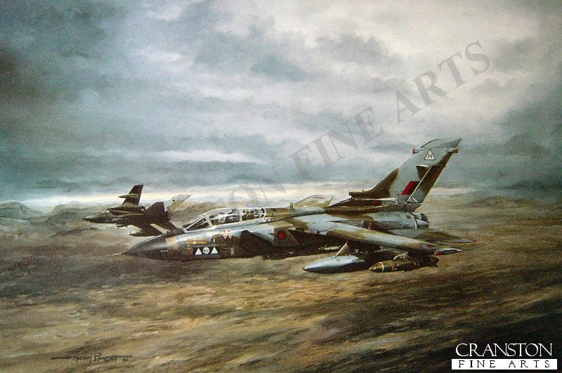 Shiny II - Tornado Recce by Michael Rondot (AP)