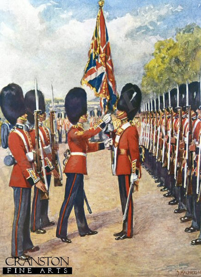 The Grenadier Guards Saluting The Colour by Douglas Macpherson (PC)