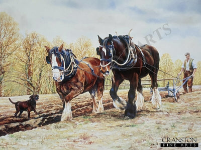 Power and Beauty in Harness by Peter Goodhall