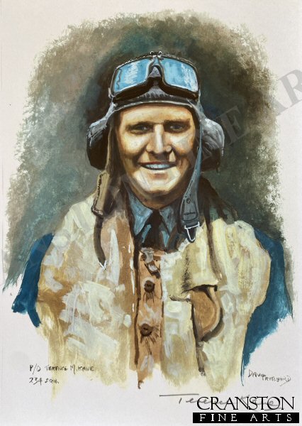Portrait of Pilot Officer Terence M. Kane, 234 Sqn by David Pritchard