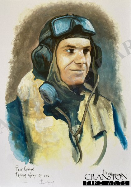 Portrait of Pilot Officer Trevor Gray, 64 Sqn by David Pritchard
