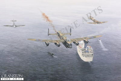 60th Anniversary D-Day Poppy Drop by Robin Smith.