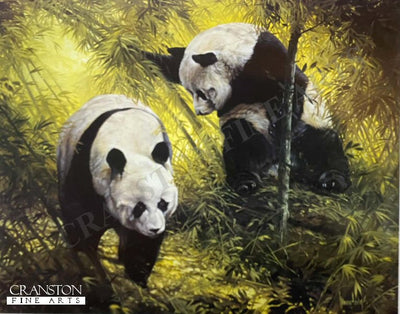 Panda Pair by Spencer Hodge