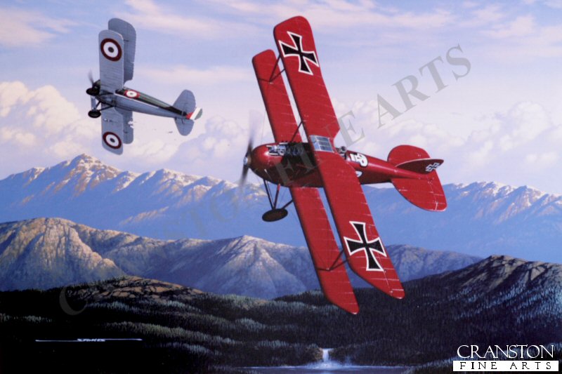 Austro-Hungarian Ace by Stan Stokes. (B)