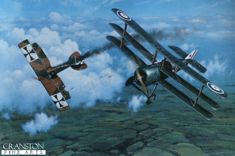 Royal Navy Ace by Stan Stokes. (B)